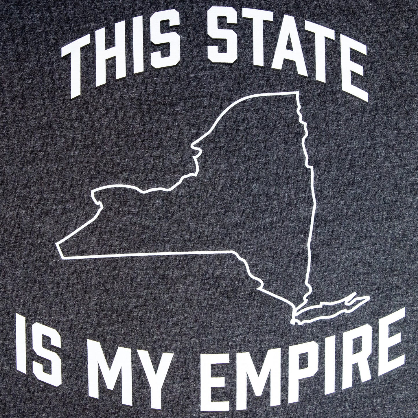 Dark Heather "This State Is My Empire" on a Softstyle, Short Sleeved Tee