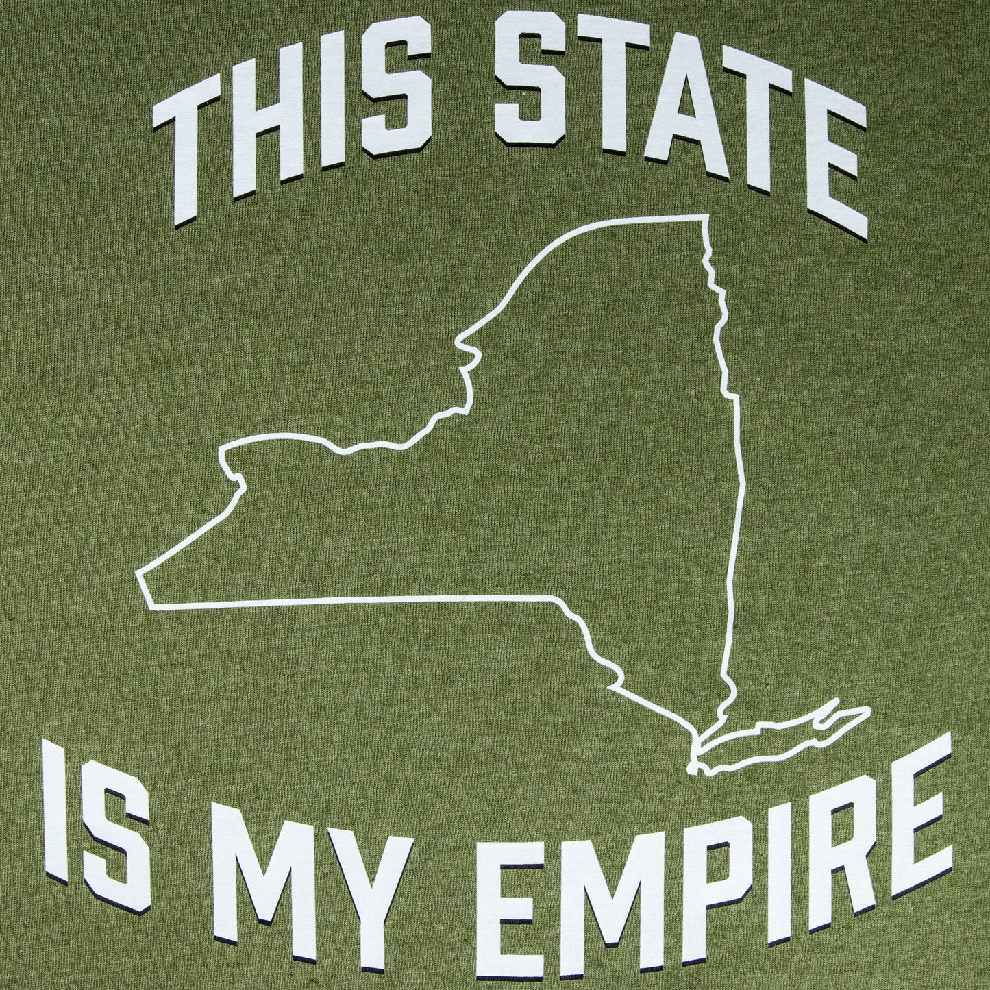 Cactus "This State Is My Empire" on a SoftStyle, Short Sleeved Tee